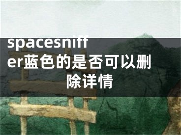 spacesniffer藍(lán)色的是否可以刪除詳情