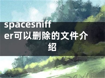 spacesniffer可以刪除的文件介紹