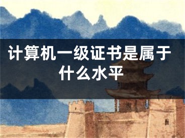 計(jì)算機(jī)一級(jí)證書(shū)是屬于什么水平