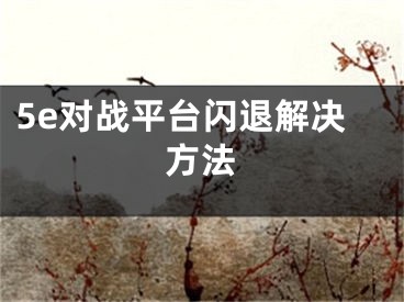 5e對(duì)戰(zhàn)平臺(tái)閃退解決方法