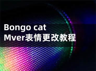 Bongo cat Mver表情更改教程