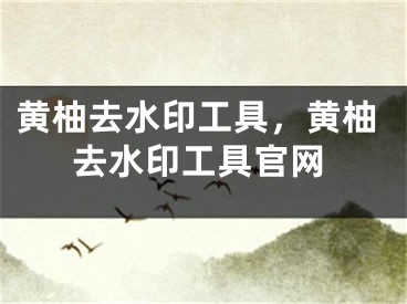 黃柚去水印工具，黃柚去水印工具官網(wǎng)