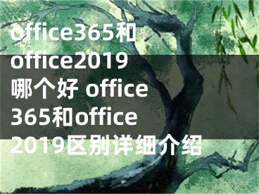 office365和office2019哪個(gè)好 office365和office2019區(qū)別詳細(xì)介紹