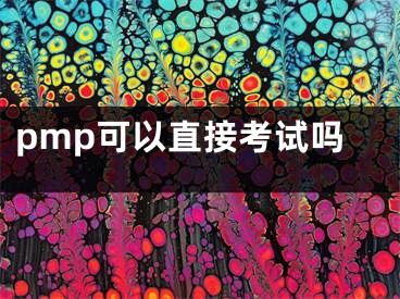 pmp可以直接考試嗎