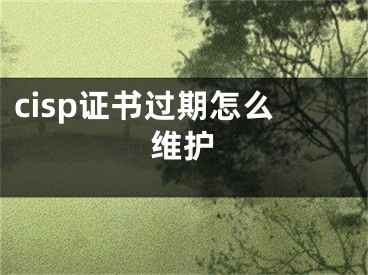 cisp證書過期怎么維護(hù)