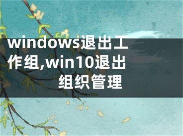 windows退出工作組,win10退出組織管理