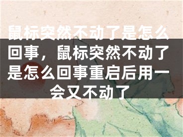 鼠標(biāo)突然不動了是怎么回事，鼠標(biāo)突然不動了是怎么回事重啟后用一會又不動了