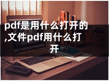 pdf是用什么打開(kāi)的,文件pdf用什么打開(kāi)