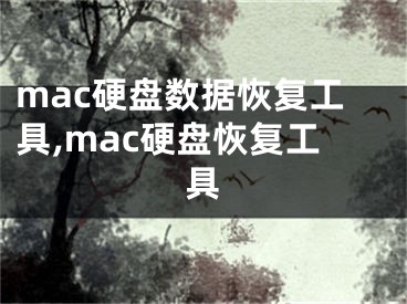 mac硬盤數(shù)據(jù)恢復工具,mac硬盤恢復工具