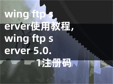 wing ftp server使用教程,wing ftp server 5.0.1注冊(cè)碼