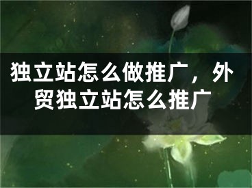 獨立站怎么做推廣，外貿(mào)獨立站怎么推廣