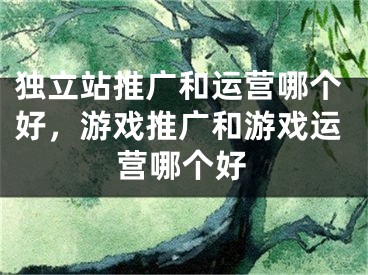 獨立站推廣和運營哪個好，游戲推廣和游戲運營哪個好