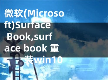 微軟(Microsoft)Surface Book,surface book 重裝win10