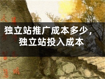 獨(dú)立站推廣成本多少，獨(dú)立站投入成本