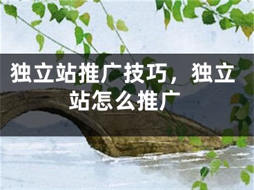 獨(dú)立站推廣技巧，獨(dú)立站怎么推廣