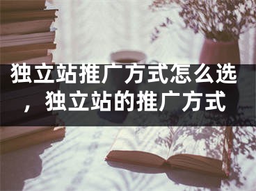 獨(dú)立站推廣方式怎么選，獨(dú)立站的推廣方式