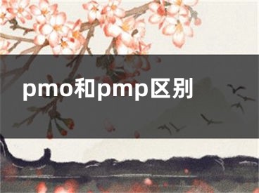 pmo和pmp區(qū)別