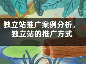 獨(dú)立站推廣案例分析，獨(dú)立站的推廣方式