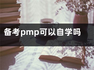 備考pmp可以自學嗎