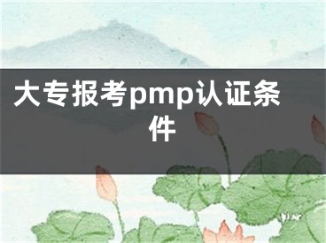 大專報(bào)考pmp認(rèn)證條件