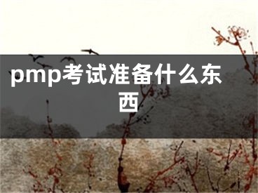 pmp考試準(zhǔn)備什么東西