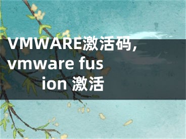 VMWARE激活碼,vmware fusion 激活