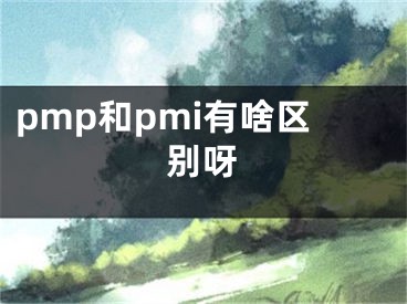 pmp和pmi有啥區(qū)別呀