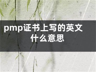 pmp證書上寫的英文什么意思