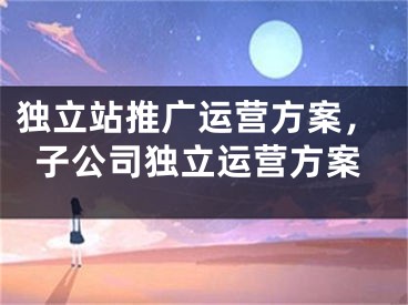 獨立站推廣運營方案，子公司獨立運營方案