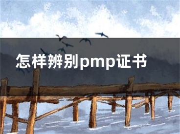 怎樣辨別pmp證書