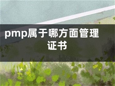 pmp屬于哪方面管理證書