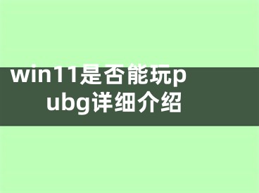 win11是否能玩pubg詳細(xì)介紹