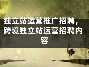 獨(dú)立站運(yùn)營推廣招聘，跨境獨(dú)立站運(yùn)營招聘內(nèi)容