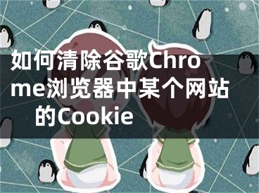 如何清除谷歌Chrome瀏覽器中某個(gè)網(wǎng)站的Cookie 