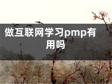 做互聯(lián)網(wǎng)學(xué)習(xí)pmp有用嗎