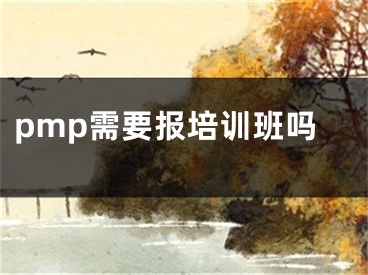 pmp需要報(bào)培訓(xùn)班嗎