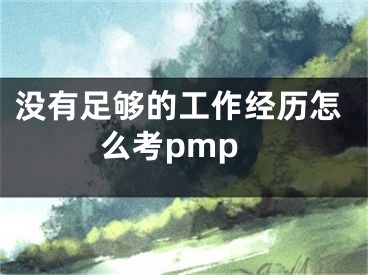 沒有足夠的工作經(jīng)歷怎么考pmp