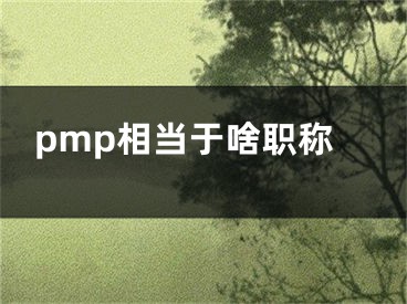 pmp相當(dāng)于啥職稱