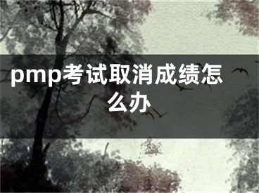 pmp考試取消成績?cè)趺崔k