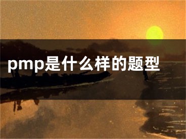 pmp是什么樣的題型