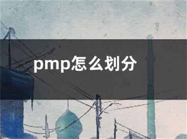 pmp怎么劃分