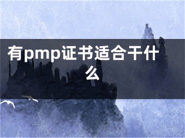 有pmp證書適合干什么