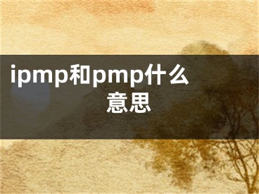 ipmp和pmp什么意思