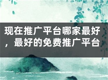 現(xiàn)在推廣平臺(tái)哪家最好，最好的免費(fèi)推廣平臺(tái)