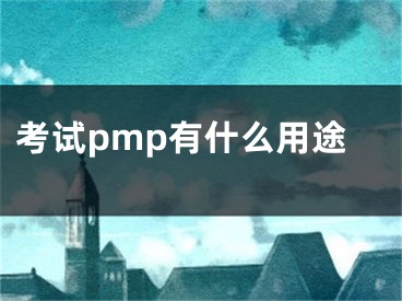 考試pmp有什么用途