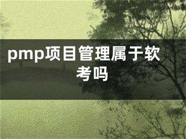 pmp項(xiàng)目管理屬于軟考嗎