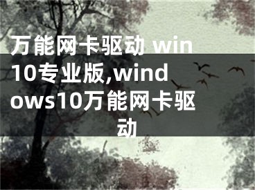 萬(wàn)能網(wǎng)卡驅(qū)動(dòng) win10專業(yè)版,windows10萬(wàn)能網(wǎng)卡驅(qū)動(dòng)