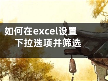 如何在excel設(shè)置下拉選項(xiàng)并篩選 