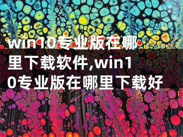 win10專業(yè)版在哪里下載軟件,win10專業(yè)版在哪里下載好