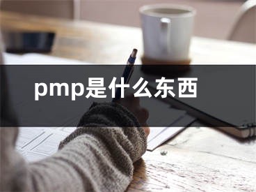 pmp是什么東西